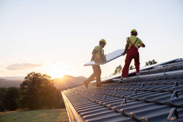 Best Steel Roofing  in New Mford, IL