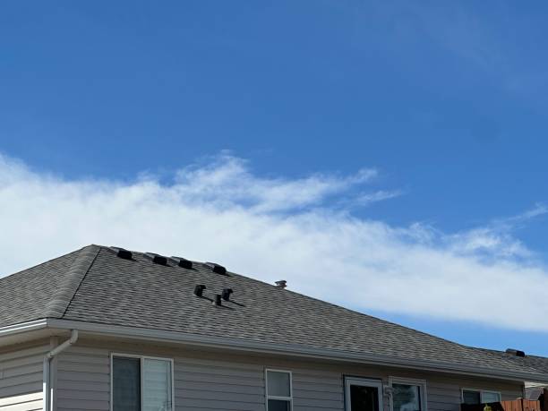 Roof Coating Services in New Milford, IL